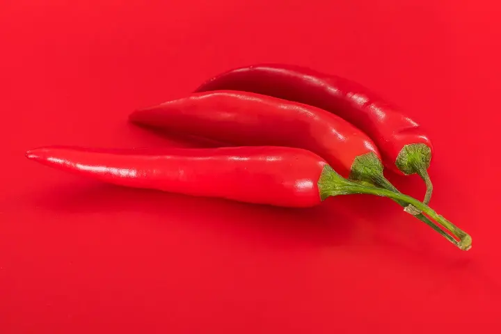 Penosia Chili